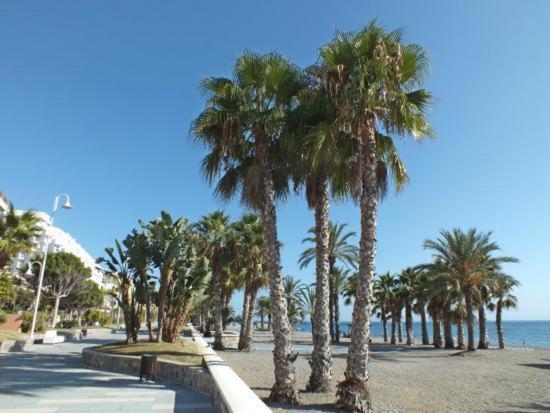 Appartement Estudio En Chinasol Primera Linea Playa San Cristobal *